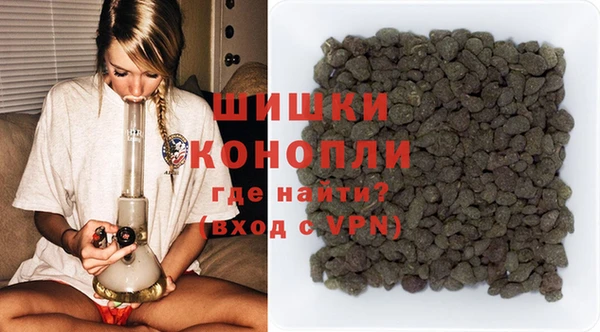 молекула духа Медвежьегорск